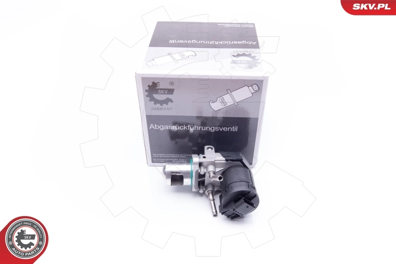 EGR Valve